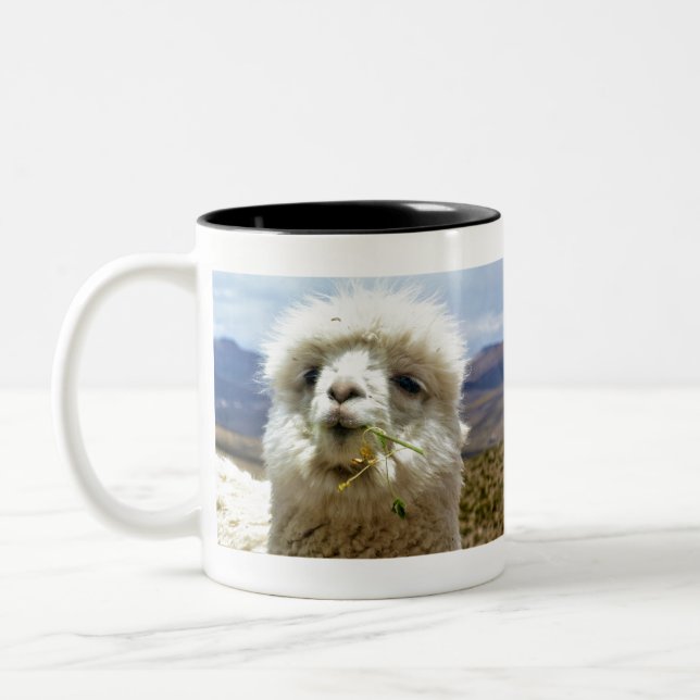 Taza Bicolor Süsses Alpaca (Izquierda)