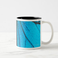 Swallowtail azul de la montaña (Papilio Ulises)
