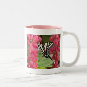 Taza Bicolor Swallowtail de la cebra