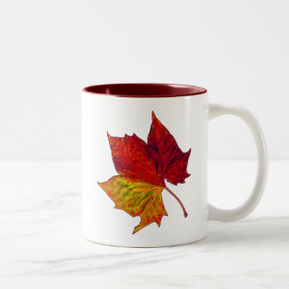 Taza Bicolor Sycamore saturado