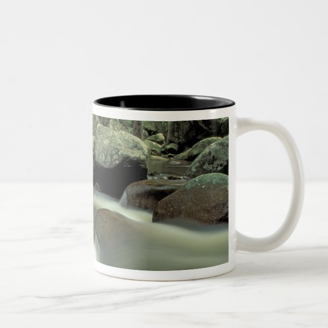 Taza Bicolor Tailandia, isla Kohsamui, paisaje de selva tropica (Derecha)