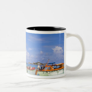 Taza Bicolor Tailandia, Mar de Andamán. Pasajeros en tierra en