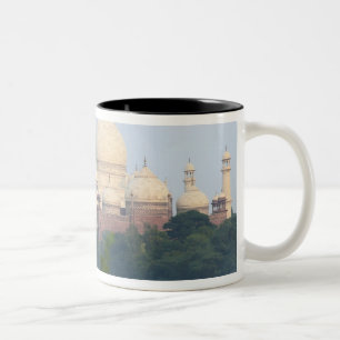 Taza Bicolor Taj Mahal, Agra, India