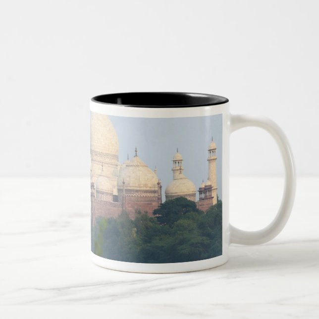 Taza Bicolor Taj Mahal, Agra, India (Derecha)