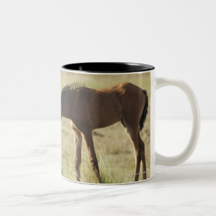 Taza Bicolor Tarifa, Cádiz, Andalucía, España 2