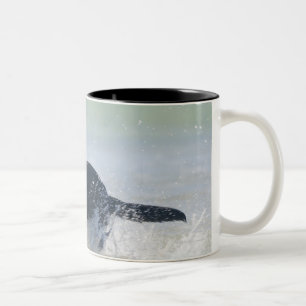 Taza Bicolor Tarifa, Cádiz, España