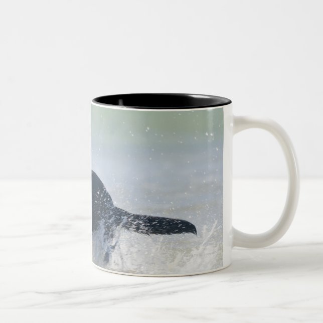 Taza Bicolor Tarifa, Cádiz, España (Derecha)