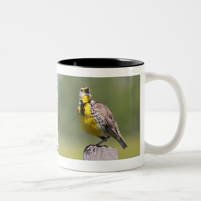 Taza Bicolor Taza-Meadowlark de Wyoming (Derecha)