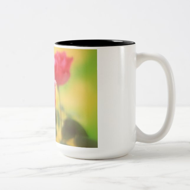 Taza Bicolor tazón de café Rosa (Derecha)