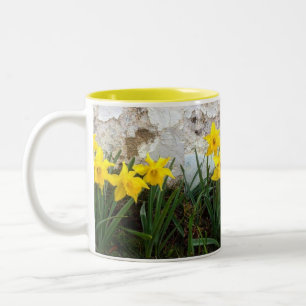 Taza Bicolor Té y café de Daffodil