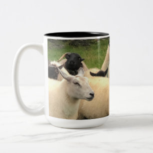 Taza Bicolor Té y tazón de café de ovejas de Irlanda