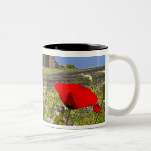Taza Bicolor Teatro antiguo en la Acrópolis de Pérgamo