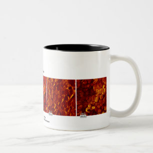 Taza Bicolor Tecnología de RHK - octubre de 2007 imagen del me