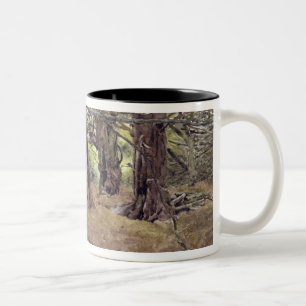 Taza Bicolor Tejos en la madera vieja del tejo