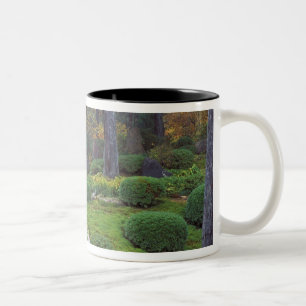 Taza Bicolor Templo Sanzen-in, Ohara, Kyoto, Japón 2