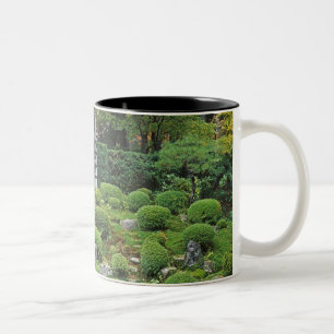 Taza Bicolor Templo Sanzen-in, Ohara, Kyoto, Japón 3