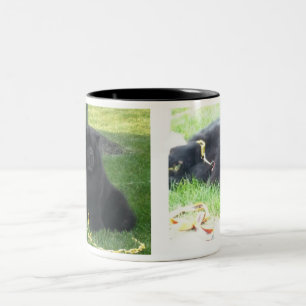 Taza Bicolor Tengo gusto de mi negro de los perros chinos y del