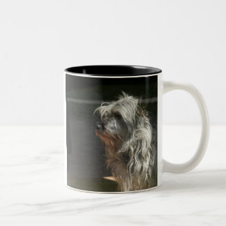 Taza Bicolor terrier de mojón