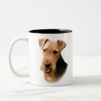 Taza Bicolor Terrier galés