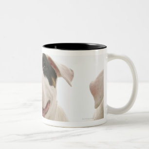 Taza Bicolor Terrieres de Bull