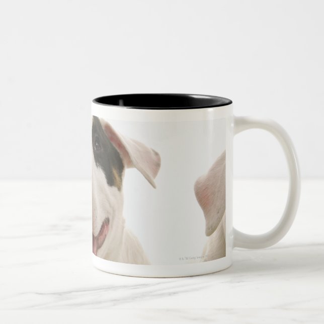 Taza Bicolor Terrieres de Bull (Derecha)