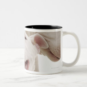 Taza Bicolor Terrieres de Bull alegres