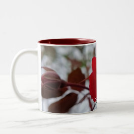 Taza Bicolor The Heart of Winter Mug