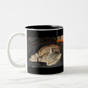 Taza Bicolor Tiempo De Amortización Para El Indigo