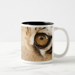 Taza Bicolor Tigre