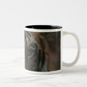 Taza Bicolor Tigre Cub