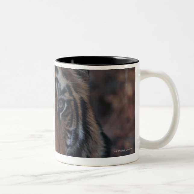 Taza Bicolor Tigre Cub de Bengala (Derecha)