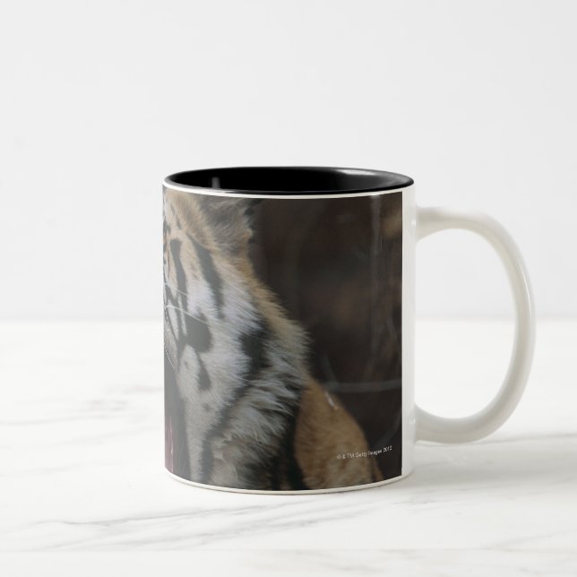 Taza Bicolor Tigre Cub que bosteza (Derecha)