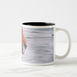 Taza Bicolor Tigre de bostezo en agua