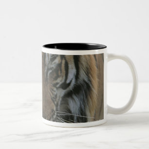 Taza Bicolor Tigre el dormir
