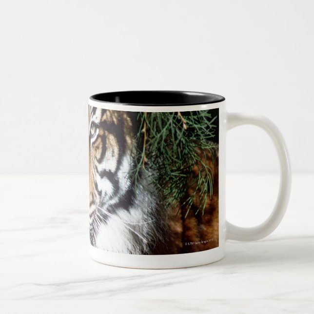 Taza Bicolor Tigre que goza de la sombra (Derecha)