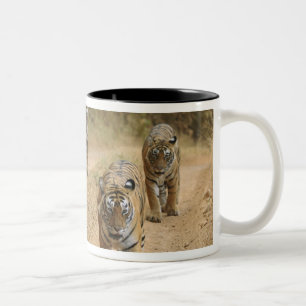 Taza Bicolor Tigres Reales de Bengala