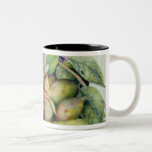 Taza Bicolor Todavía vida con los ciruelos, las nueces y el