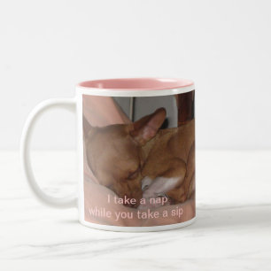 Taza Bicolor Tomo una siesta mientras que usted toma un sorbo