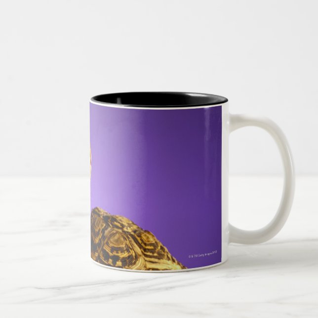 Taza Bicolor Tortuga y las liebres (Derecha)