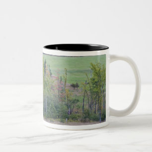 Taza Bicolor Tractor con paja de heno en campo verde con