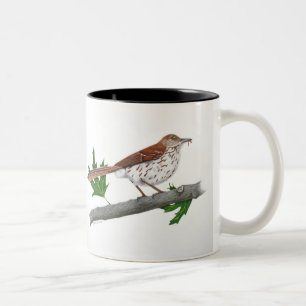 Taza Bicolor Tragón marrón Inspirador