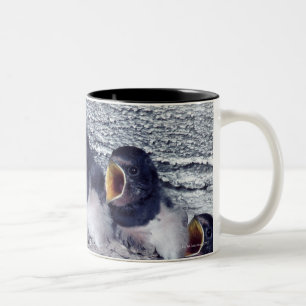 Taza Bicolor tragos de granero jovenes