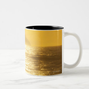 Taza Bicolor Trayectoria de Sun [reflexiones] del sol bajo de