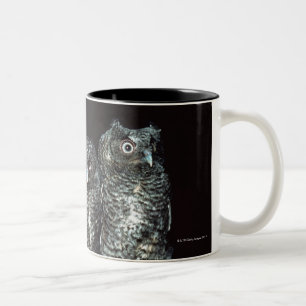 Taza Bicolor tres búhos