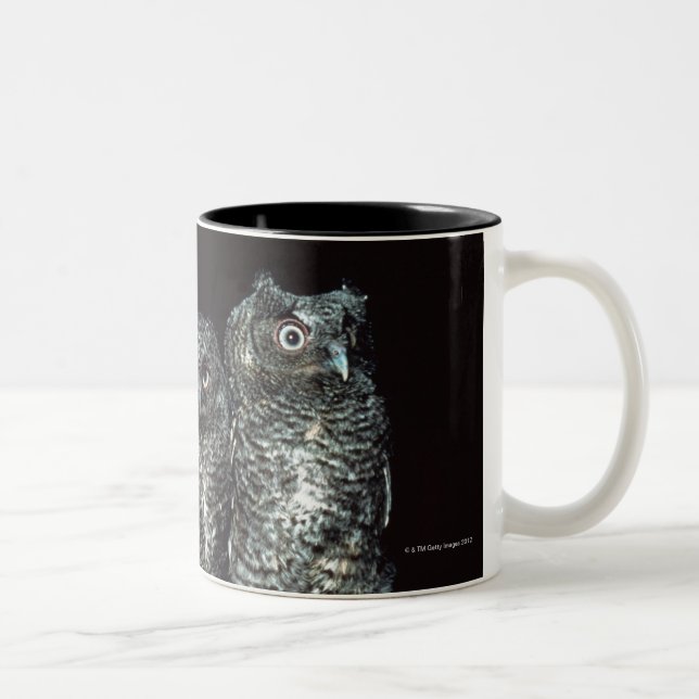 Taza Bicolor tres búhos (Derecha)