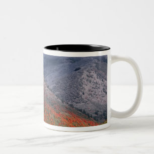 Taza Bicolor Tres estaciones de follaje, arces rojas y otoño