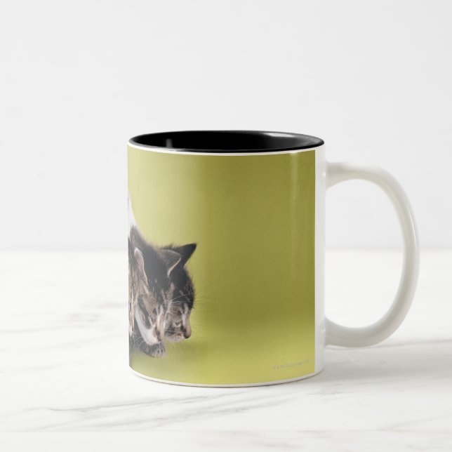 Taza Bicolor Tres gatitos que se abrazan (Derecha)