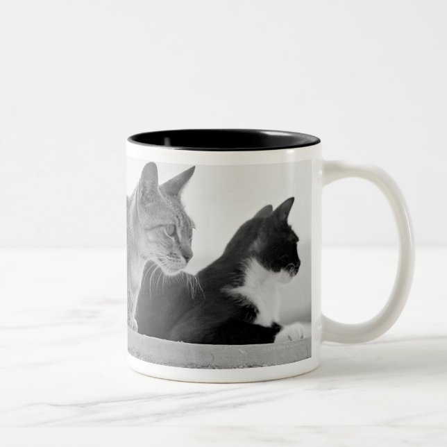 Taza Bicolor Tres gatos (Derecha)