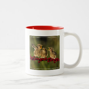 Taza Bicolor Tres pájaros de Schach del Lanius del bebé