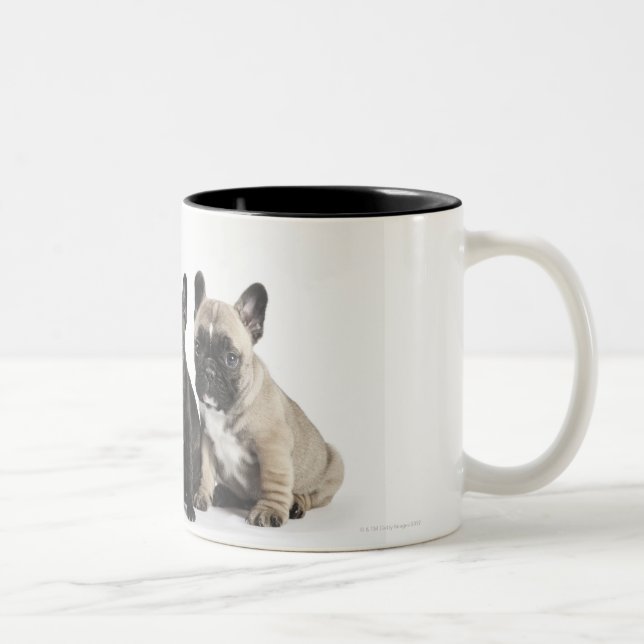 Taza Bicolor Tres perritos pedigríes (Derecha)